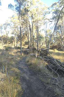 Trevallyn State Recreation Area